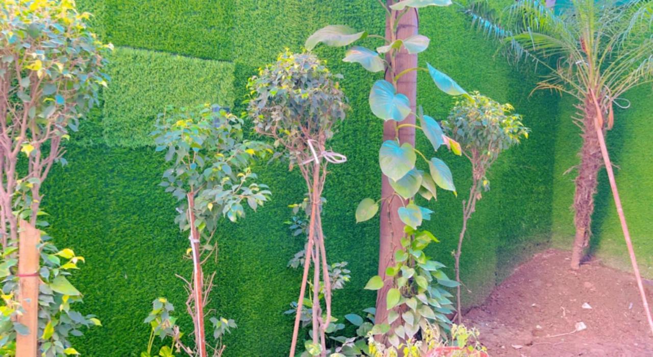 City View With Garden -5 Mins Walk From Golden Temple Amritsar Exterior photo